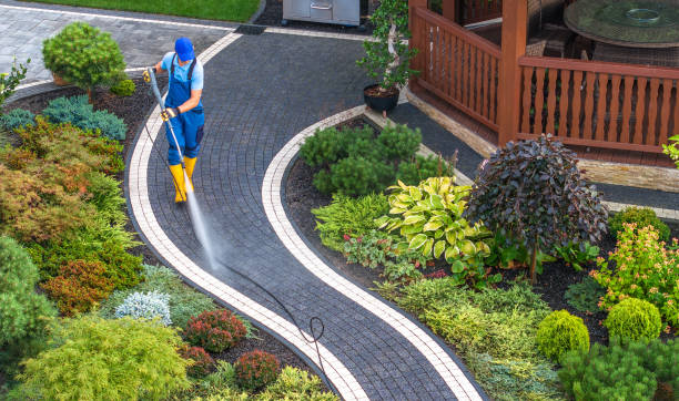 Best Roof Pressure Washing  in West Siloam Springs, OK